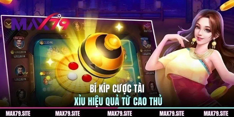 Bí kíp cược tài xỉu hiệu quả từ cao thủ