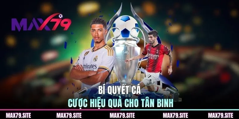 Bí quyết cá cược hiệu quả cho tân binh