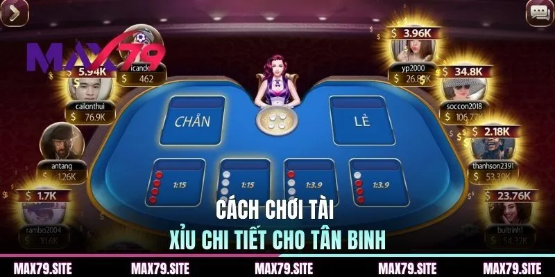 Cách chơi tài xỉu chi tiết cho tân binh