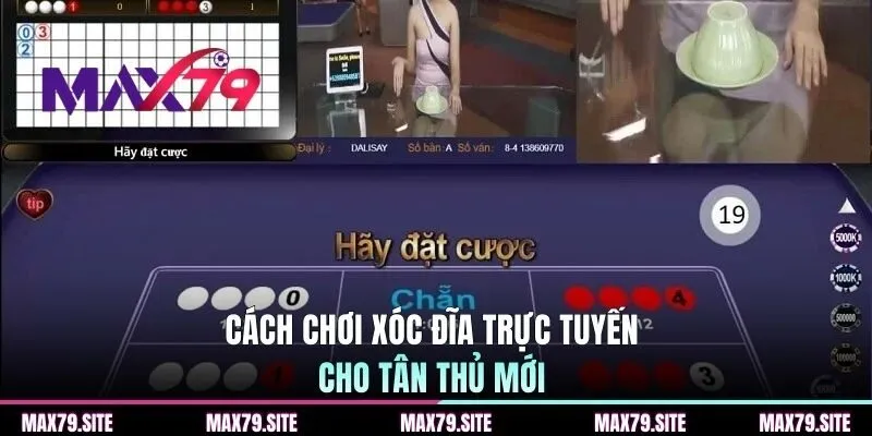 Cách chơi xóc đĩa trực tuyến cho tân thủ mới 