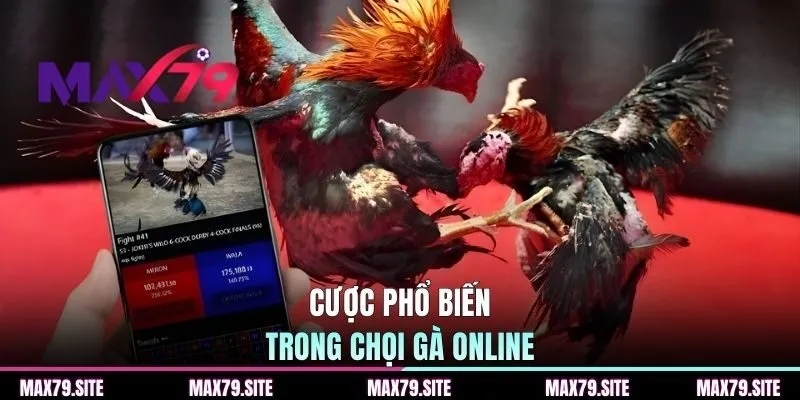 Cược phổ biến trong chọi gà online