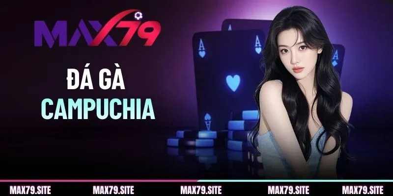 Đá Gà Campuchia - Toàn Cảnh Đấu Trường Gà Thomo Cực Hot