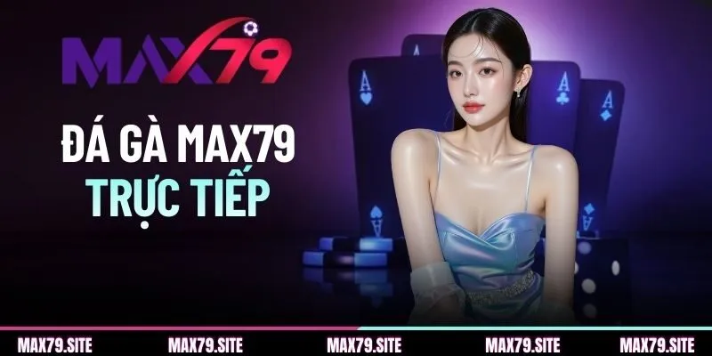 Đá Gà MAX79 Trực Tiếp - Chia Sẻ Loại Hình, Kèo Cược Phổ Biến