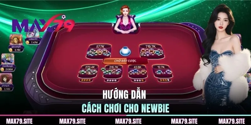 Hướng dẫn cách chơi cơ bản cho newbie