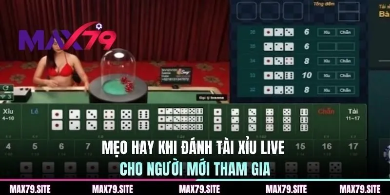 Mẹo hay khi đánh tài xỉu live cho người mới tham gia