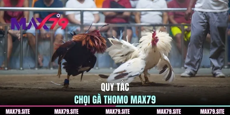 Quy tắc chọi gà Thomo MAX79