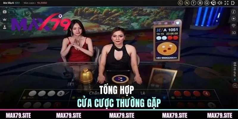 Tổng hợp cửa cược thường gặp 