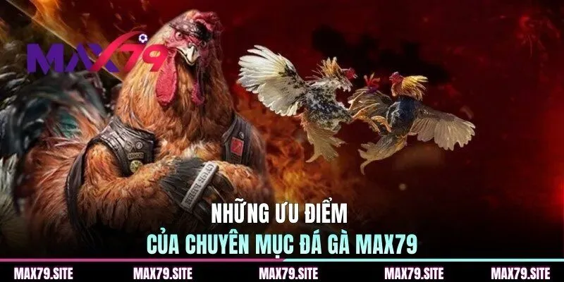 Những ưu điểm của chuyên mục đá gà MAX79