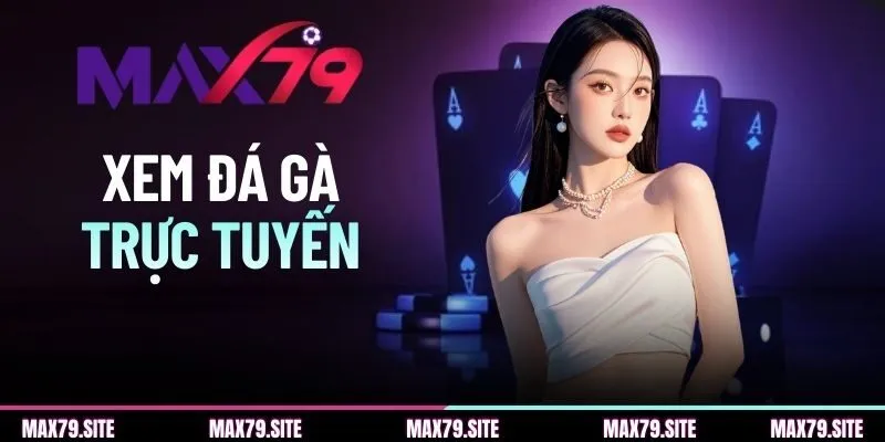 Hướng Dẫn Xem Đá Gà Trực Tuyến Đơn Giản Trên MAX79